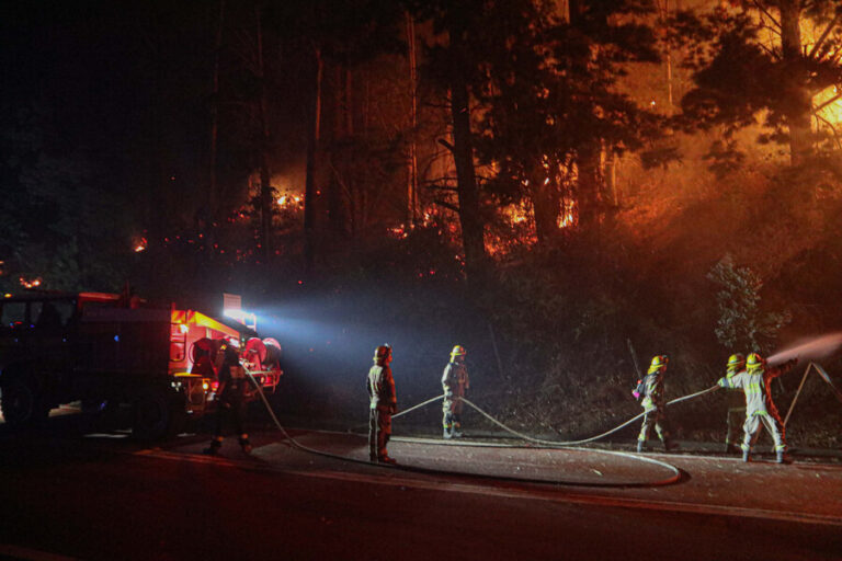 Declaran Alerta Amarilla para la comuna de Lonquimay por incendio forestal