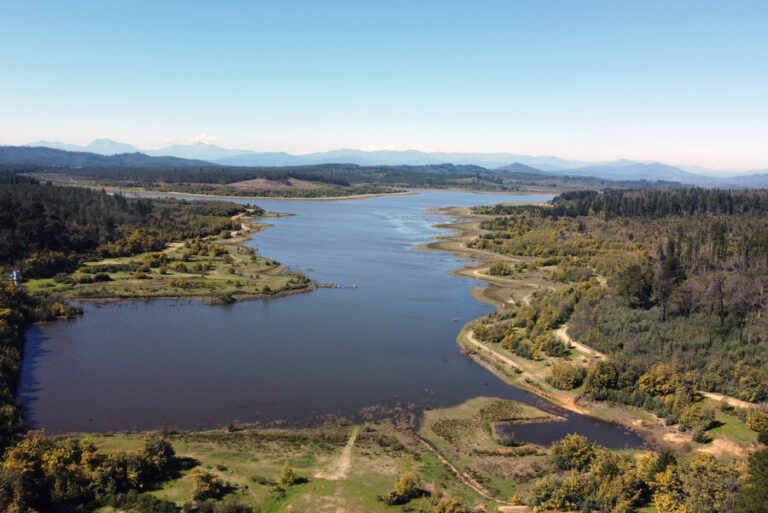Senapred declara alerta roja para Valparaíso por incendio forestal que afecta a la Reserva del Lago Peñuelas