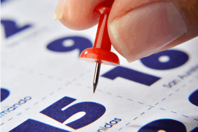 Solo 4 fines de semana largos: Estos son todos los feriados que tendrá 2024 en Chile