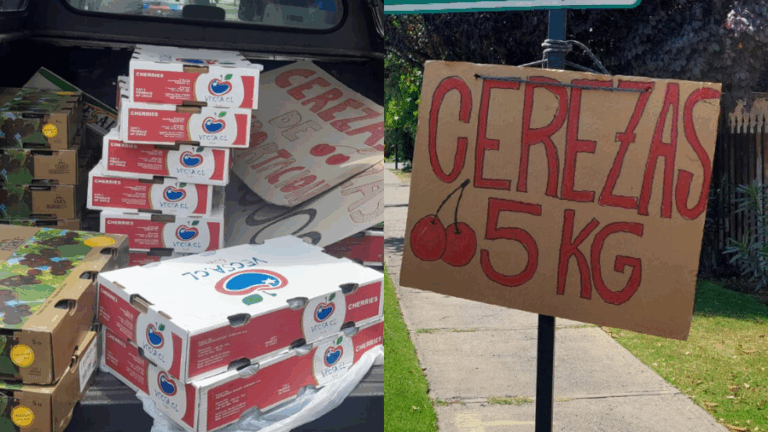 Decomisan comercio ambulante de cerezas en Las Condes: Vendedor fue multado