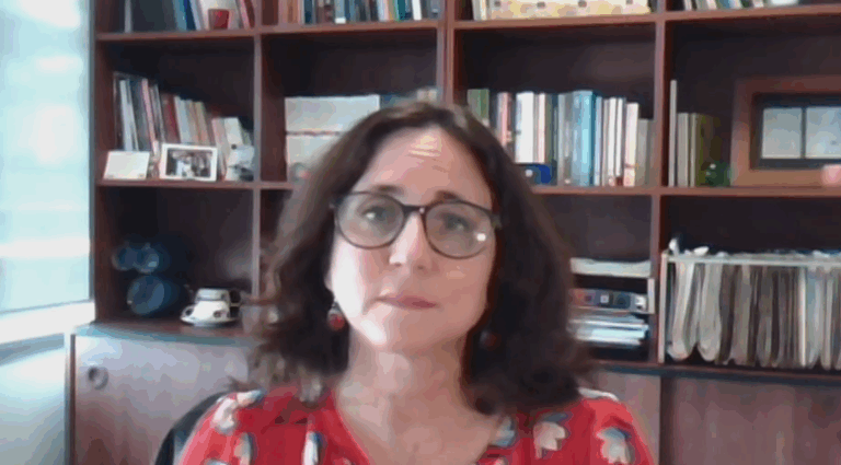 Claudia Heiss y análisis de la discusión constitucional: “Lo que hizo el Consejo fue extremar posiciones”