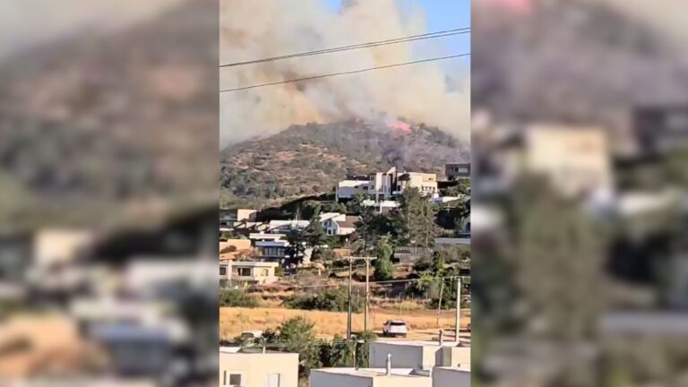 Equipo de Bomberos de Quillota, Villa Alemana, Quilpué y Viña del Mar combaten incendio forestal en Región de Valparaíso