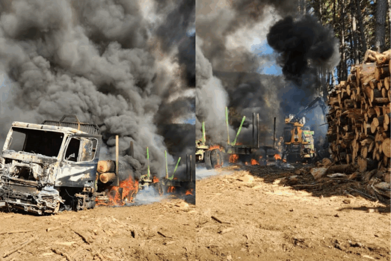 Nuevo ataque incendiario en Arauco: Sujetos incendiaron camiones y maquinaria forestal en predio de Contulmo