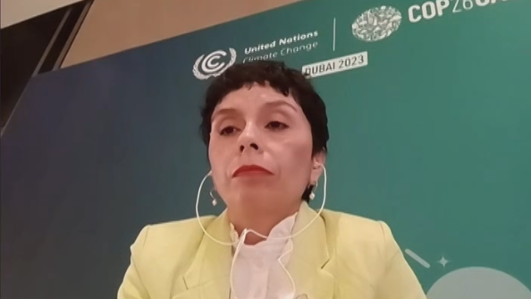 Subdirectora del Centro para la Resiliencia del Clima entrega detalles de los avances y desafíos de la COP28