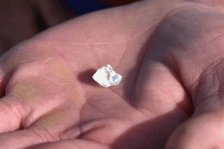 Hombre encontró diamante de 4,87 kilates en un parque de Estados Unidos mientras paseaba con su pareja