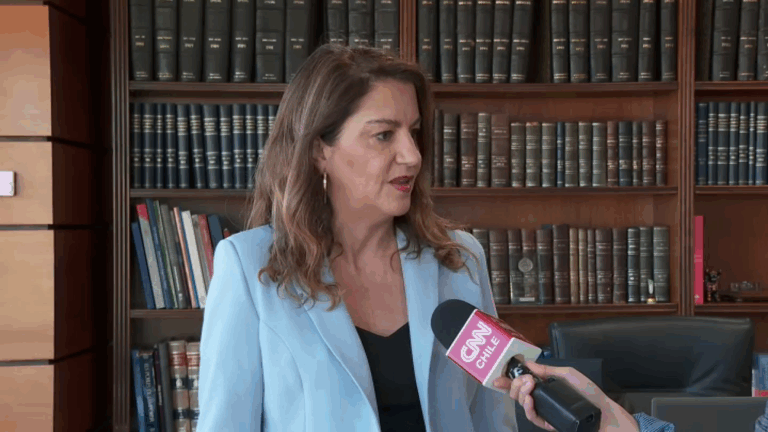 Tras rechazo a apertura del comercio en el plebiscito: María Teresa Vial propone discutir proyecto para futuras elecciones