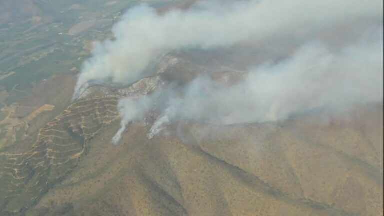 Incendio Forestal en María Pinto ha consumido más de 700 hectáreas