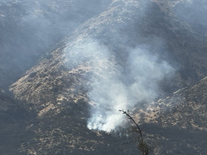 Reportan incendio forestal en sector de San Carlos de Apoquindo en Las Condes