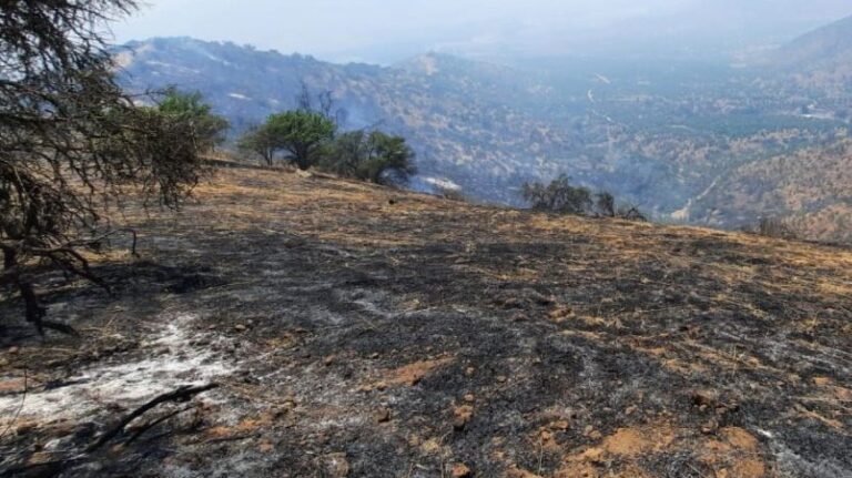 Incendio forestal en María Pinto ha consumido mil hectáreas: Aumento de temperatura podría afectar las labores de extinción