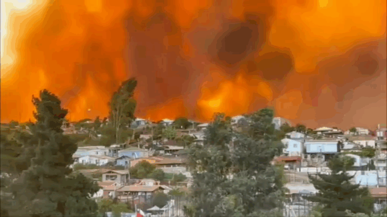 Valparaíso: Autoridades informan que incendio forestal habría afectado a 20 viviendas y consumido al menos 480 hectáreas