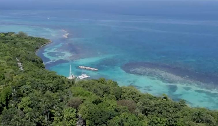 Atractivos naturales, platos típicos, infraestructura y la casa de Bob Marley: Paisajes imperdibles en un viaje por Jamaica