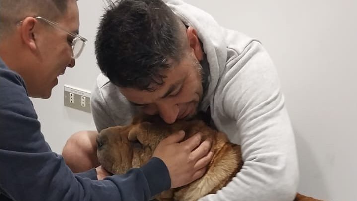 Un final feliz: Metro comparte imágenes del rescate de perrita que se perdió en las vías de la Línea 2