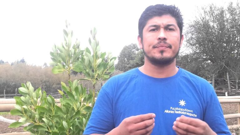 Juzgado de Los Ángeles ordena traslado de Mijael Carvones a cárcel de Angol