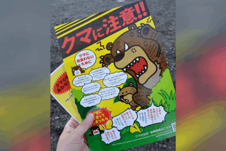 Ataques de oso en Japón alcanzan cifra récord: Cambio climático y envejecimiento de su población empeoran el problema
