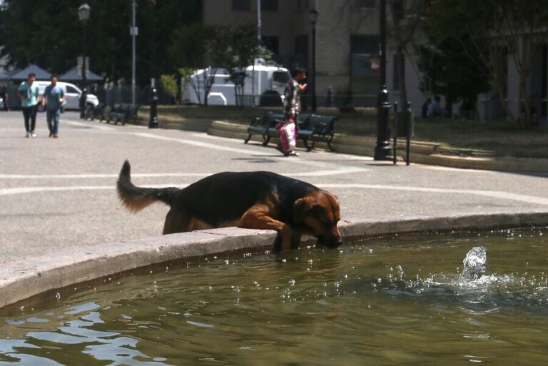 Hasta 32°C en Santiago: Revisa el pronóstico del tiempo de todo Chile para este miércoles 13 de diciembre