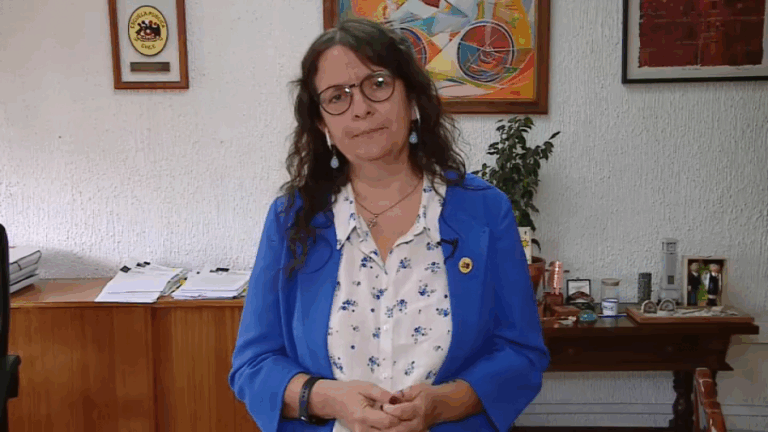 Subsecretaria de Educación por caídas en último informe PISA: 