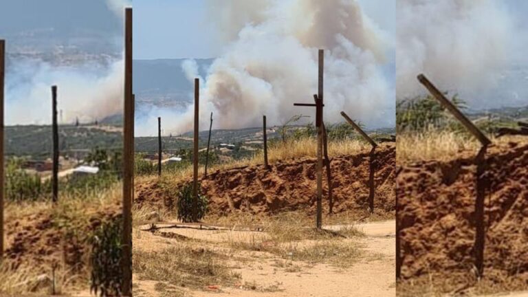 Bomberos combate incendio forestal en Limache que ha dejado 5 hectáreas quemadas