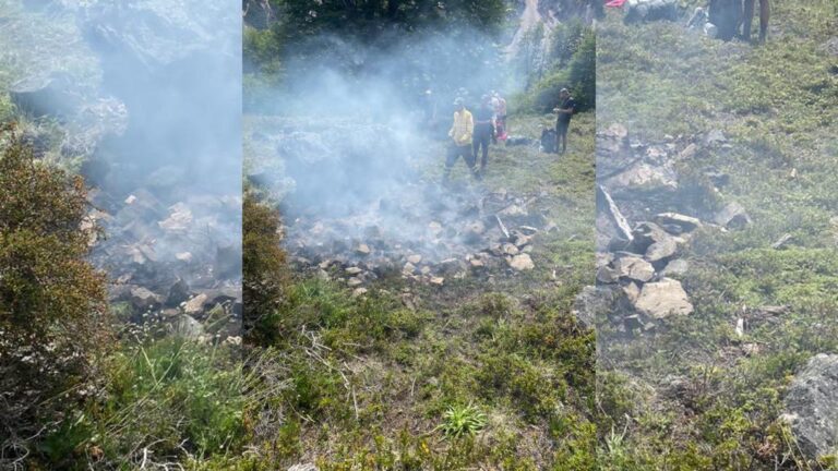 Detienen a turista japonés tras provocar incendio en el Parque Nacional Patagonia en Aysén