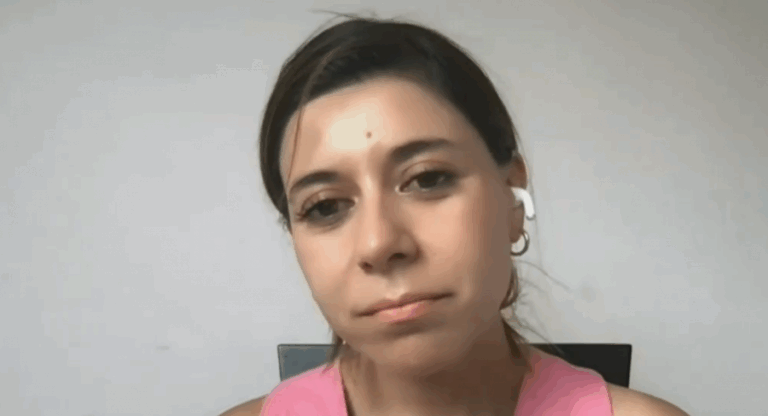 Diputada Cicardini y proyecto que busca prohibir la pirotecnia: 