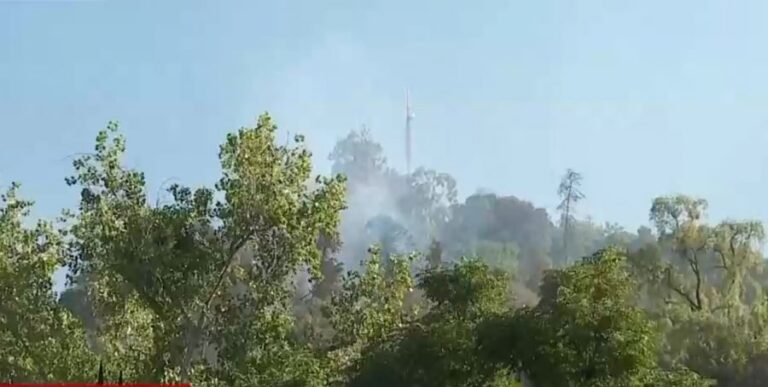 Parquemet se mantendrá cerrado hoy tras incendio en el cerro San Cristóbal