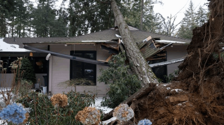 Tormentas invernales en Estados Unidos dejan al menos 40 personas muertas en distintos estados