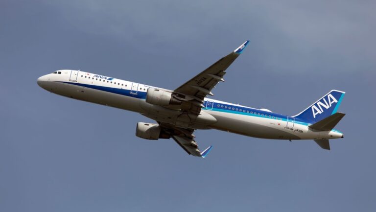 Pasajero estadounidense mordió a azafata en pleno vuelo y obligó al avión a regresar a Tokio