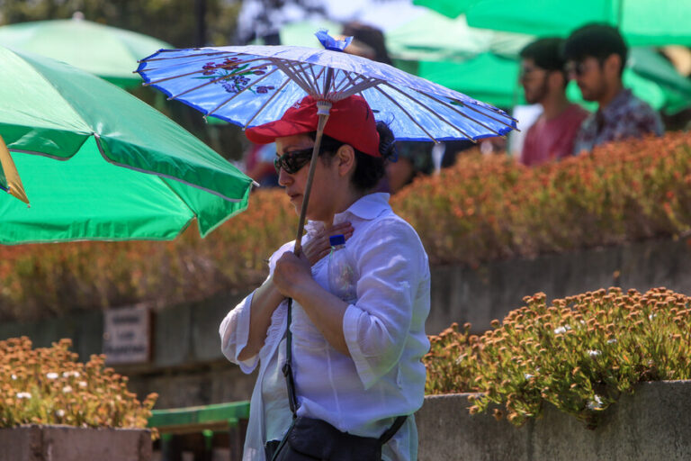 Alerta por altas temperaturas desde Coquimbo hasta Los Lagos: Especialistas llaman a tomar precauciones
