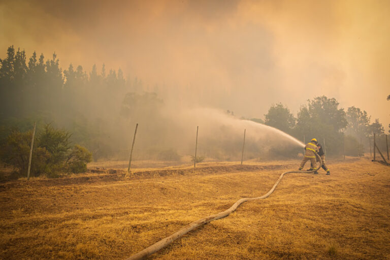 Director de Senapred del Maule explica cuál sería el peak de incendios forestales en la zona centro-sur