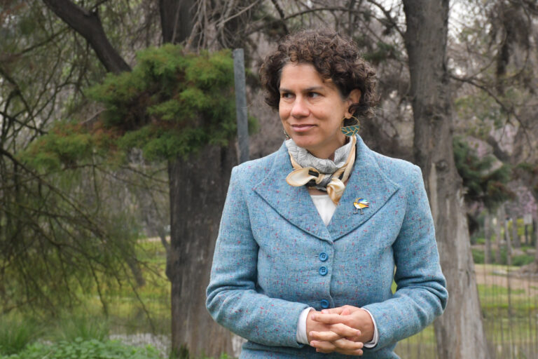 Ministra Maisa Rojas descartó que se haya cuestionado la 