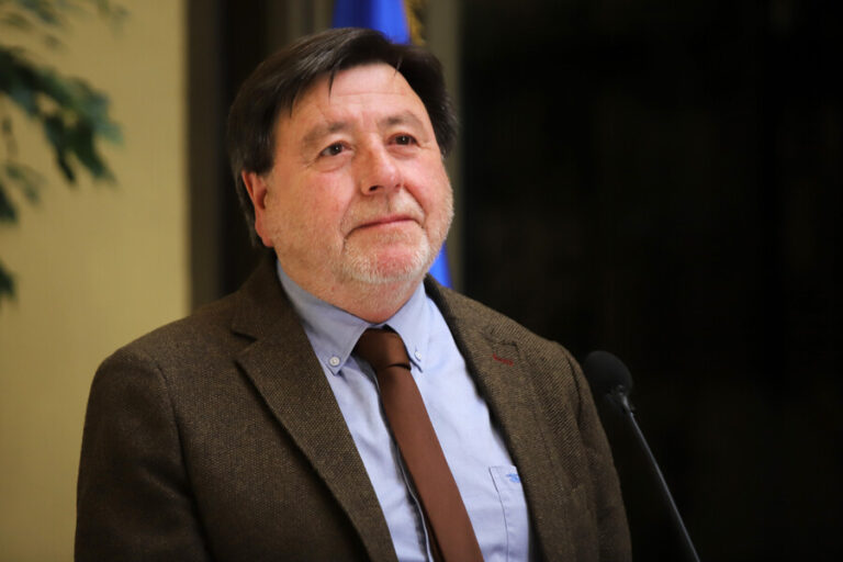 Pdte. de la Cámara por reforma de pensiones: 