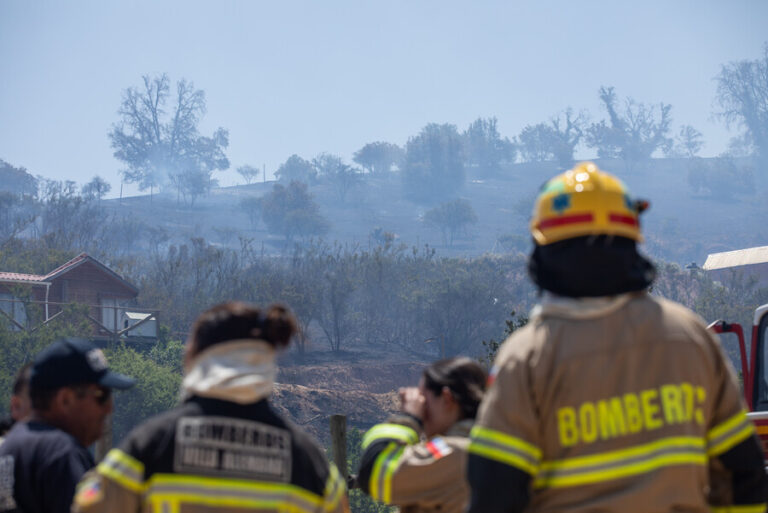 Claudio Fredes sobre la prevención de incendios forestales: 