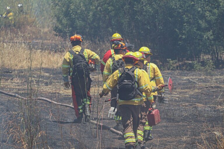 Senapred declara Alerta Roja para la comuna Valdivia por incendio forestal