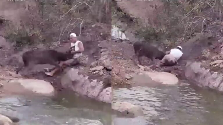 Youtuber español Frank Cuesta fue atacado por ciervo que casi lo mata: 