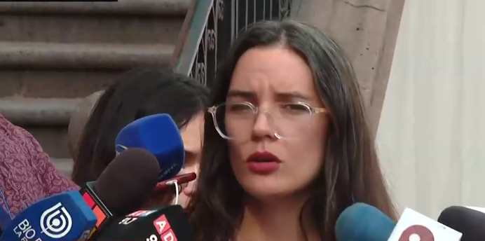 Ministra Vallejo tras polémica por reuniones en casa de Zalaquett: La ministra Rojas 