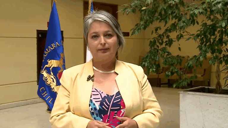 Ministra Jara y polémica intervención de Diego Ibáñez en la Cámara: 