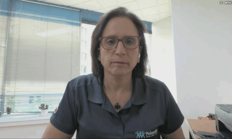 Leitao respalda medida de Yáñez: “Prefiero que porten las armas personas que están preparadas para hacerlo