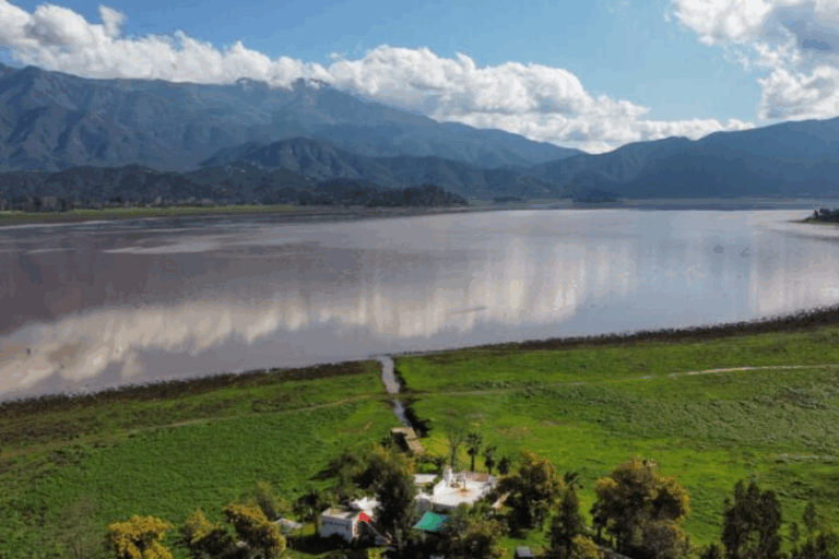 Vecinos de laguna de Aculeo reportan muerte masiva de animales: Más de 150 aves fallecidas
