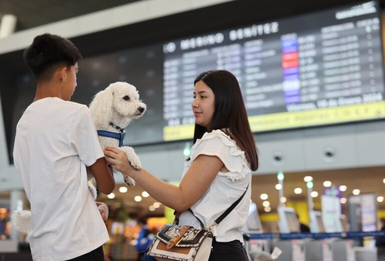 El Aeropuerto se adapta a sus nuevos pasajeros: Más de 22 mil mascotas viajaron desde Chile al extranjero en 2023