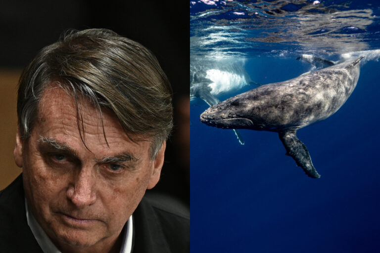 La policía brasileña llama a declarar al expresidente Bolsonaro por 