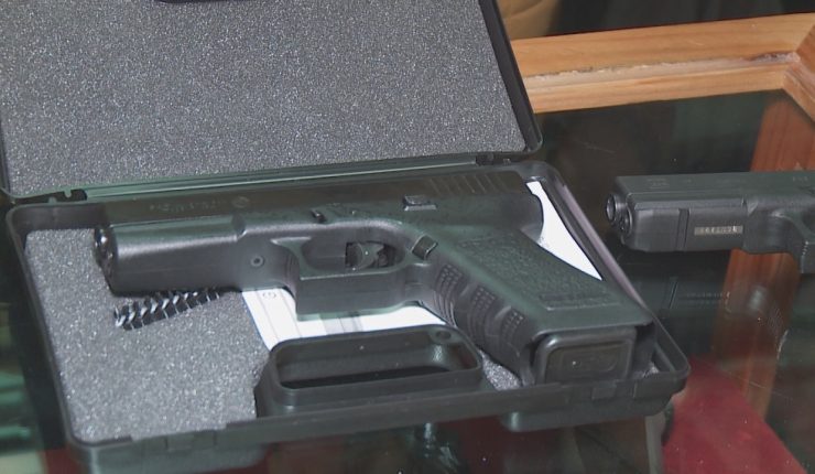 Diputadas RN exigen al Gobierno acciones inmediatas por venta de réplicas de armas en ferias libres