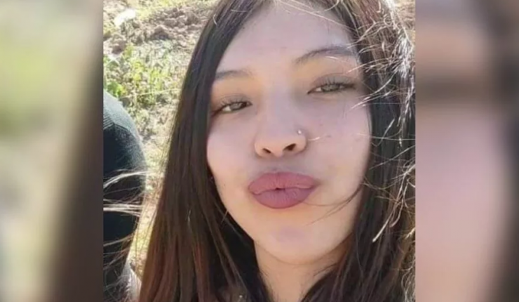 Desaparición de Michelle Silva en San Felipe: Se entrega autor confeso de presunto femicidio