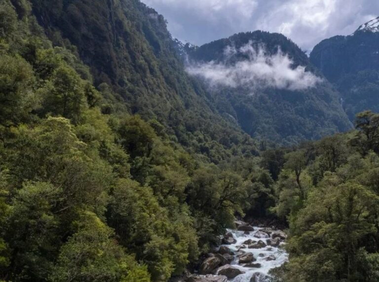 Valle Cochamó ya es oficialmente un santuario de la naturaleza: 