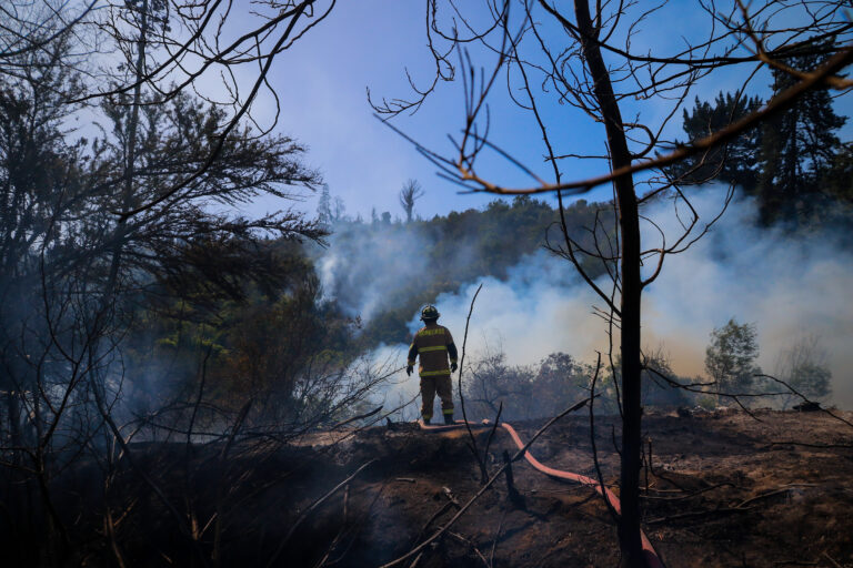 Bomberos de Viña del Mar confirma que Jardín Botánico fue consumido totalmente por las llamas