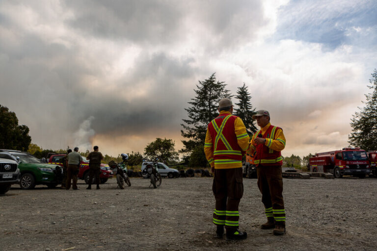 Colegio de Ingenieros Forestales llama a revisar estrategia de Conaf: Alza en el presupuesto 