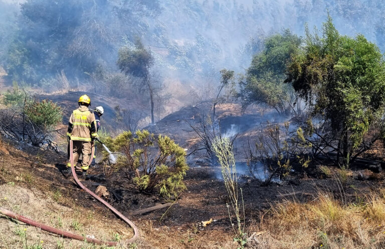 Solicitan evacuar sectores de Villa Alemana por incendio forestal