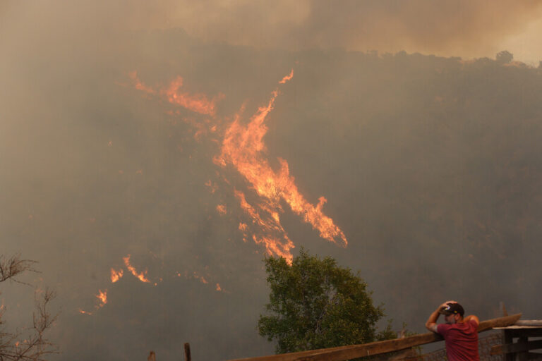 Incendios forestales han dejado 123 muertos: SML informó que solo 33 personas han sido identificadas