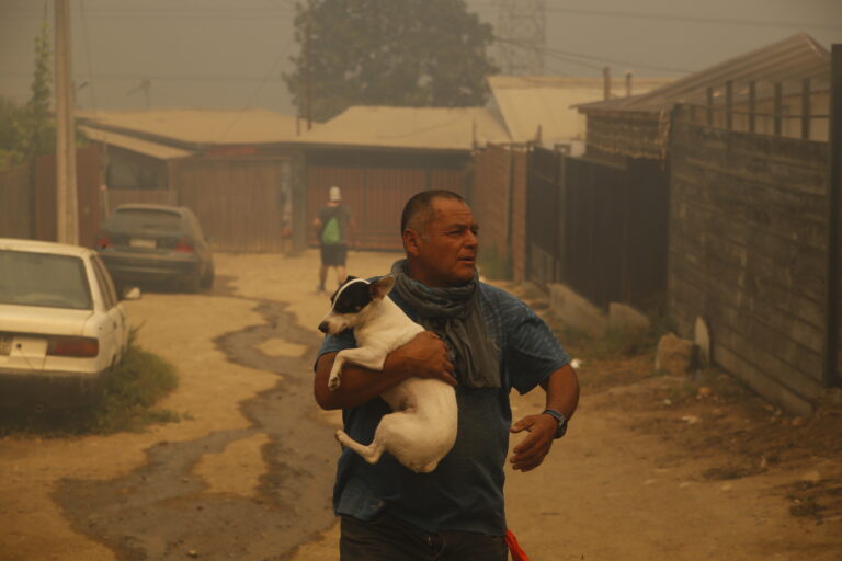 Incendios forestales: Lugares de acopio y veterinarias móviles gratuitas para los animales afectados