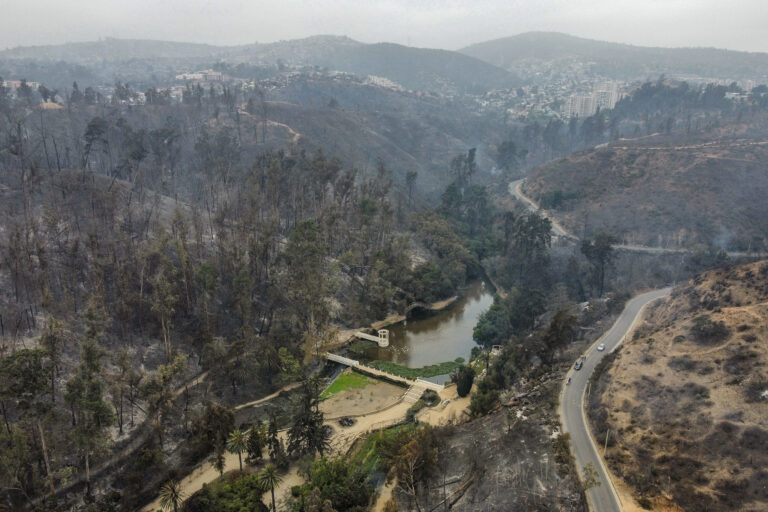 Jardín Botánico pide ayuda para recuperar el recinto que resultó destruido por el incendio: 