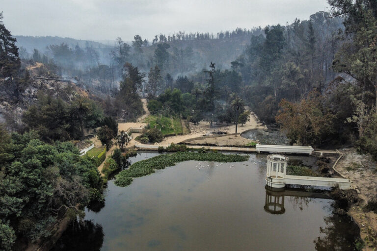 Detienen a dos personas sospechosas de iniciar focos de incendio en el sector del Jardín Botánico de Viña del Mar