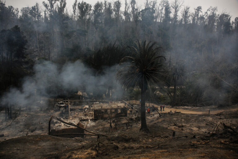 Quedaron en libertad: Fiscalía decide no formalizar a dos sospechosos de iniciar focos de incendios en Viña del Mar